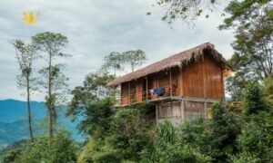 Read more about the article West Godavari District Launches Homestay Scheme to Boost Rural Tourism Ahead of Sankranti